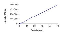 Sino Biological&nbsp;Recombinant Human IRAK1 Protein (catalytic domain, GST Tag), Active